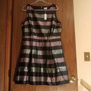Size XL. Charming Charlie Horizontal Striped Mini